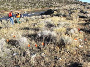 Crewmembers conducting fieldwork on plain with short-grasses and small rock features.