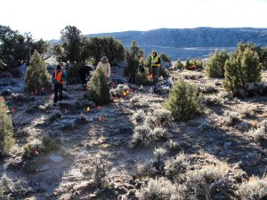Crewmembers conducting fieldwork on plateau with short-grass and shrubs.
