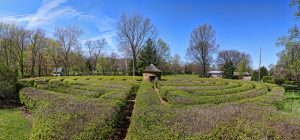 Overview of trimmed hedges planted in labyrinthine pattern with stone structure at center.