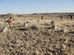 CRA crew conducting fieldwork among large stone features on an expansive landscape with plateaus in background.