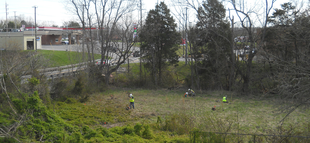 CRA crew performing fieldwork in large, grassy field flanked by mature trees.