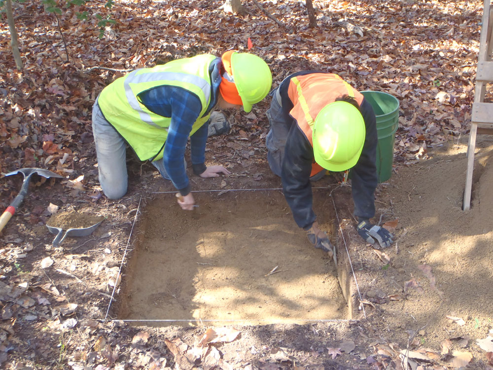Two CRA crewmembers digging a square shovel test pit in wooded area with complete fallen-leaf coverage.