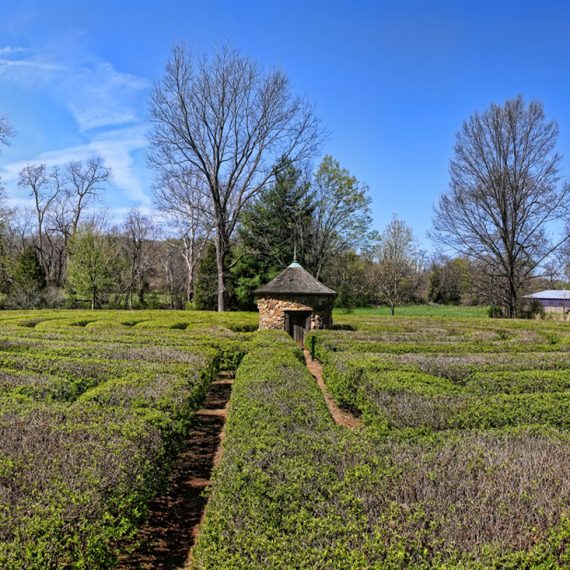Overview of trimmed hedges planted in labyrinthine pattern with small stone shelter at center.